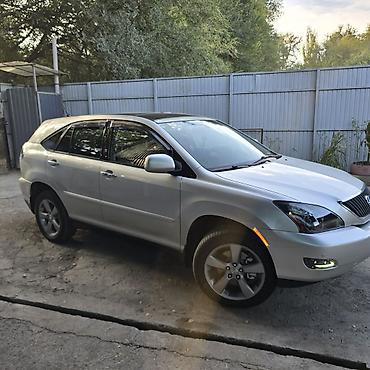Lexus: Lexus RX: 2004 г., 3.3 л, Автомат, Бензин, Кроссовер — 1