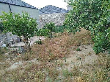 Torpaq: 4 sot, Tikinti, Mülkiyyətçi, Kupça (Çıxarış) — 5