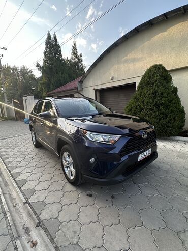 вампер сешка: Toyota RAV4: 2019 г., 2.5 л, Автомат, Бензин, Кроссовер