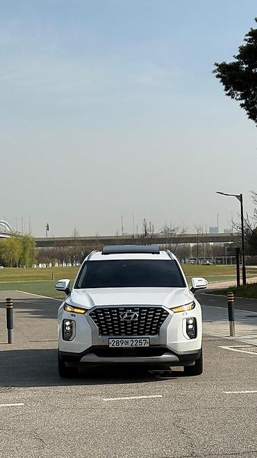 palisade 2019: Hyundai Palisade: 2019 г., Автомат, Дизель, Кроссовер — 3