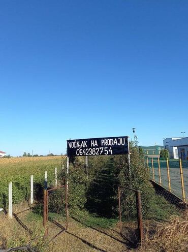 Prodaja zemljišta: Poljoprivredno zemljište — 9