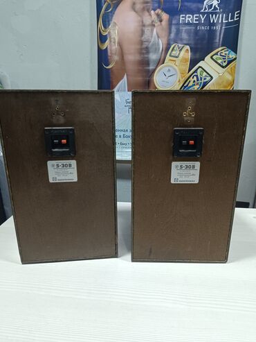 Dinamiklər və kolonkalar: İşlənmiş Radiotehnika Kolonka, Növ - Akustik, rəng - Qəhvəyi — 18