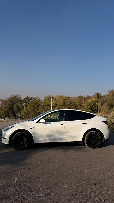 byd song max: Tesla Model Y: 2022 г., Электромобиль, Кроссовер — 5