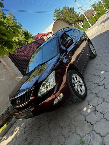 rx гибрид: Lexus RX: 2008 г., 3.5 л, Автомат, Бензин, Кроссовер