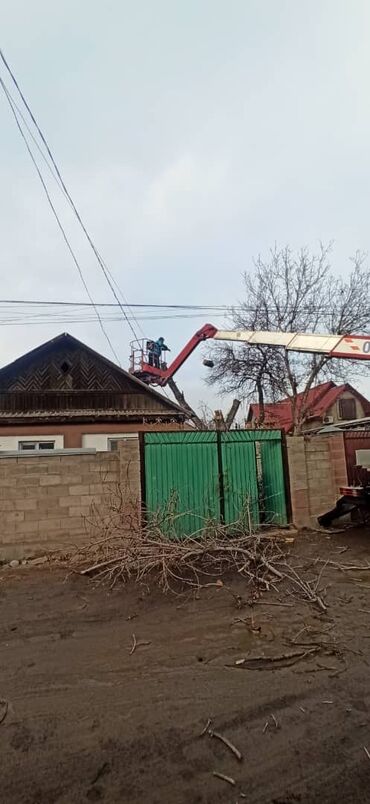 выжигатель по дереву бишкек в Кыргызстан | Другие товары для дома: Спил самых сложных опасных деревьев пилим дрова. Можно с гвоздями