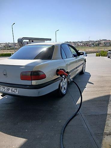 Opel Omega: 2 l | 1995 il Sedan lalafo.az -da Opel Omega: 2 l | 1995 il Sedan