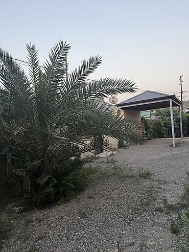 binəqədi centralni: Binəqədi rayonu, Rəsulzadə qəsəbəsində 12 sot həyət evi və torpaq — 9
