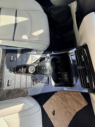 BYD: BYD E9: 2021 г., Седан — 12