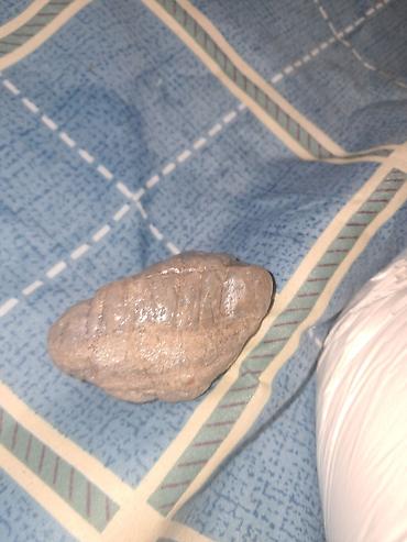 Dekorativ daşlar: Məhsul: Toplanmış təbii daşlar dəsti Təsvir: - Fərqli ölçü və — 7