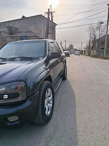 Chevrolet: Chevrolet Trailblazer: 2006 г., Внедорожник — 13
