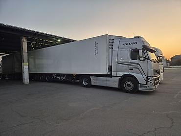 Тягачи: Тягач, Volvo, 2013 г., Холодильник, рефрижератор — 4