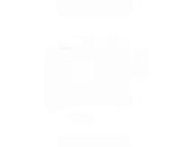 Glave motora: FAROVI ZA SVE MODELE ZA FORD C-MAX, FIESTA, FOCUS . OD 2003. DO — 38