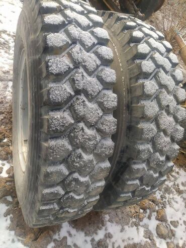 175 65 14 шина: Шины R 24, Всесезонная, Б/у, С/х техника, Япония, Bridgestone