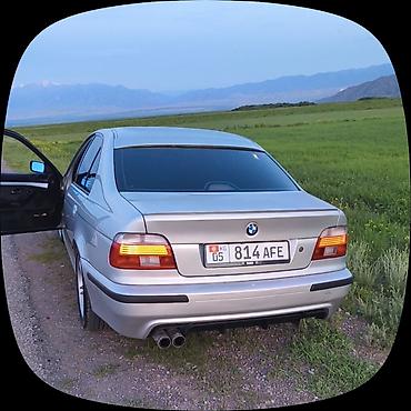 racing dynamics: BMW 5 series: 2001 г., 2.5 л, Механика, Бензин, Седан — 1