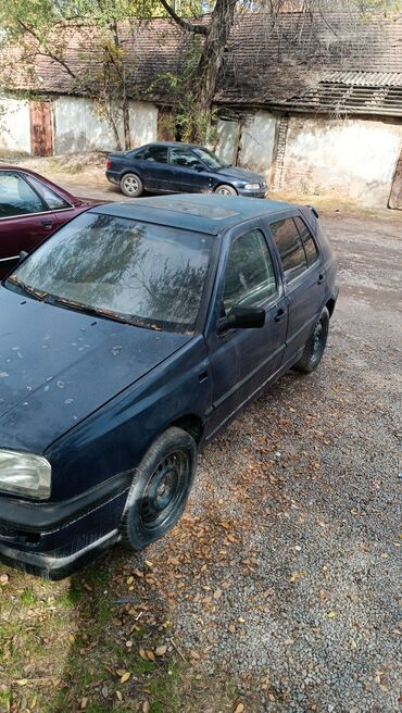 купить запчасти на опель вектра б: Volkswagen Golf: 1993 г., 1.6 л, Механика, Бензин, Хетчбек