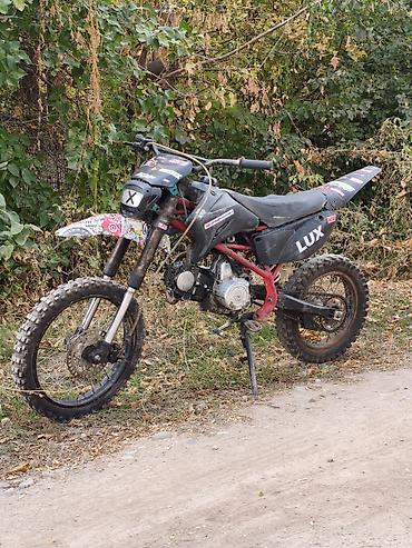 irbis ttr: Питбайк Stels, 125 куб. см, Бензин, Взрослый, Б/у — 5