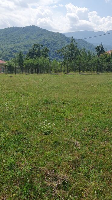 qubada satilan torpaqlar: Qubanın Alıc kəndində 10 sotluq torpaq sahəsi satılır. Torpaq kəndin