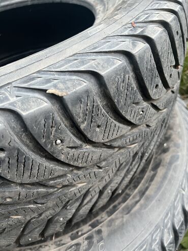 разноширокие шины: Шины