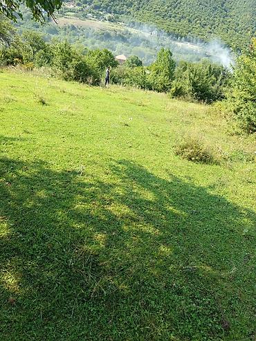 ramanıda torpaq satılır: 17 sot, Tikinti, Maklerlər narahat etməsin, Bələdiyyə — 5