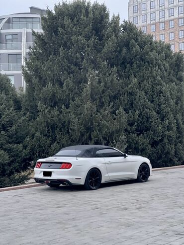 Ford: Ford Mustang: 2018 г., 2.3 л, Бензин, Кабриолет — 2