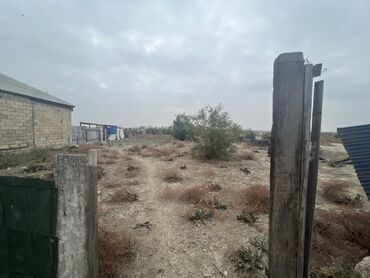 bine qesebesinde ev: 8 sot, Kənd təsərrüfatı, Barter mümkündür, Bələdiyyə, Müqavilə