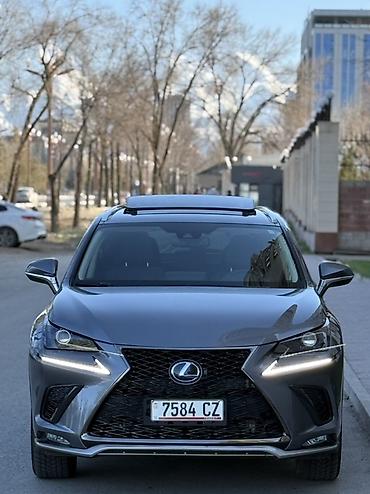 Lexus: Lexus NX: 2020 г., 2.5 л, Вариатор, Гибрид, Кроссовер — 2