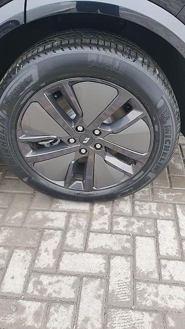 Voyah: Voyah : 2024 г., Гибрид, Кроссовер — 2