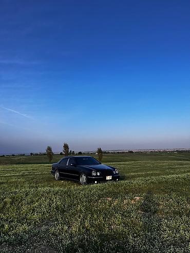 bew e39: Mercedes-Benz E-Class: 1999 г., 5 л, Автомат, Бензин, Седан — 4