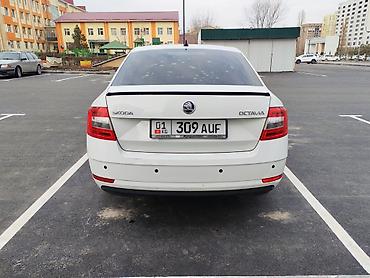 octavia: Skoda Octavia: 2018 г., 1.6 л, Автомат, Бензин, Седан — 5