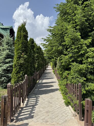 купить дом на берегу иссык куля: Коттедж, 4 Б | Royal beach, Чок-Тал, Балдар аянтчасы, Унаа токтотуучу жай, унаа туруучу жай, Коргоодогу аймак