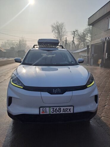 Weltmeister: Weltmeister EX5, 2021 г., 74478 км — 2