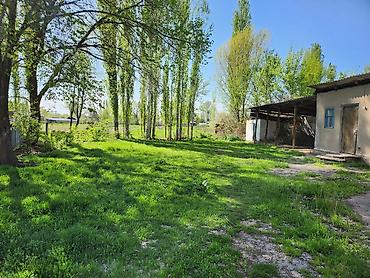 Продажа коттеджей и домов: Продаю участок (с домом, возможно под снос) 20лет никто не жил и есть — 10