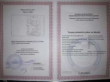10000 evler: 4 sot, Kənd təsərrüfatı, Mülkiyyətçi, Kupça (Çıxarış) — 2