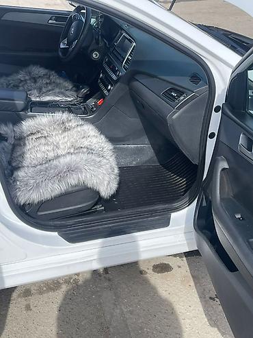 e60 m5: Hyundai Sonata: 2020 г., 2 л, Автомат, Бензин, Седан — 6