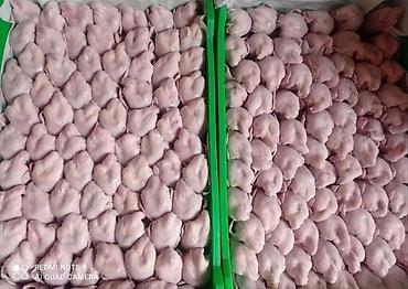 Digər quşlar: Bildirçin satışı✅. ev şəraitində saxlanılmış bildirçinlər ferma — 3