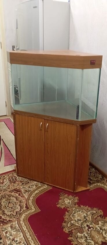 satılık akvaryum balıkları: Üçbucaqlı Akvarium, Boş, 10 l