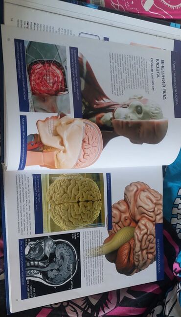 Саморазвитие и психология: Книга: «Книга для будущей леди. Будь уверенной! Будь яркой! Будь — 6