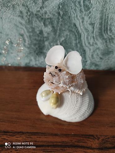 Аквариумы: Водоросли живые: Анубиас Бартера, нана ( цветут белыми и розовыми — 11