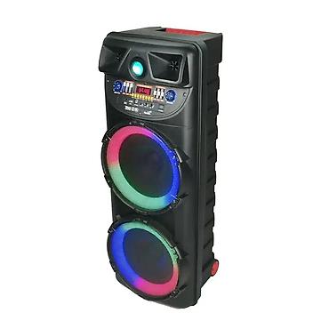 karaoke ses sistemi: Portativ Karaoke Party Akustik Sistemi - İki böyük dinamikli güclü — 1