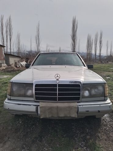 дизель1 9: Mercedes-Benz 250: 1991 г., 2.9 л, Автомат, Дизель, Седан