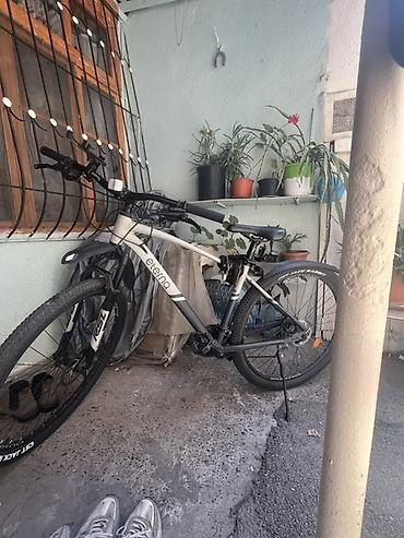 İdman velosipedləri: Eterna one brendi velosipet. Yaxşı vəziyyəttədir. 29 təkər ölçüsü — 1