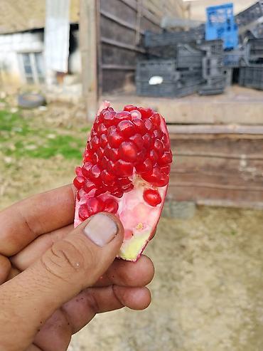 saf su: Bakıda market və bazarlarda satılan, günlərlə anbarlarda qalan — 2