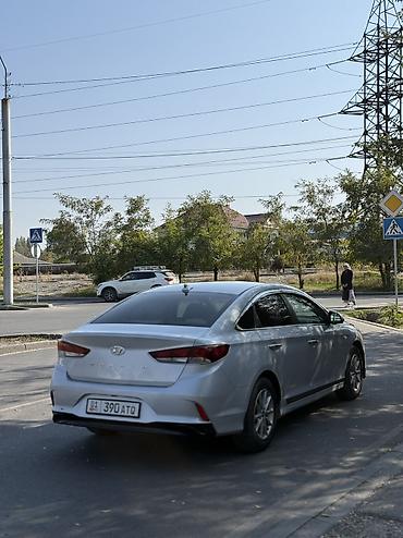 фильтр масло: Hyundai Sonata: 2018 г., 2 л, Автомат, Газ, Седан — 5