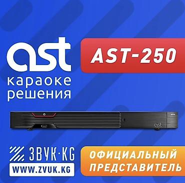 AST-250 — профессиональный караоке-процессор от AST. Ключевые