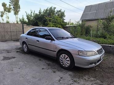полик акорд: Honda Accord: 2000 г., 1.8 л, Механика, Бензин, Седан — 3