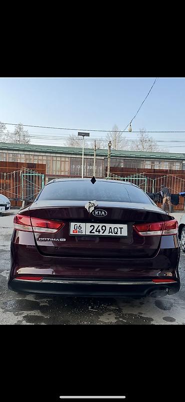 Kia: Kia Optima: 2017 г. — 12
