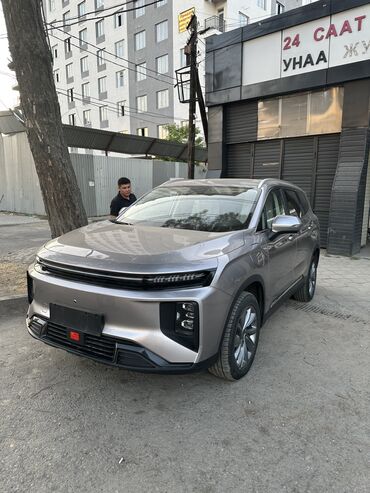 зарядное устройство для электромобиля: Geely : 2023 г., 0.1 - engine capacity л, Автомат, Электромобиль, Вэн/Минивэн