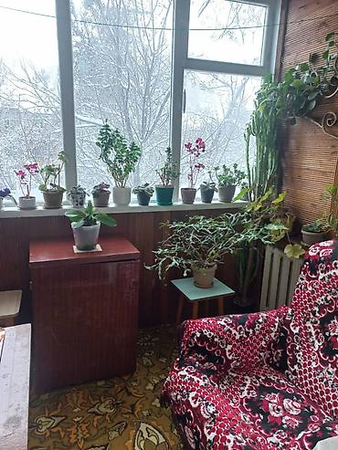 Продажа квартир: 3 комнаты, 62 м², 6 мкр 104 серия, 3 этаж, Косметический ремонт — 10