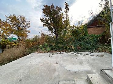 Продажа коттеджей и домов: Дом с участком и хозпостройками - Отдельный жилой дом с двускатной — 11