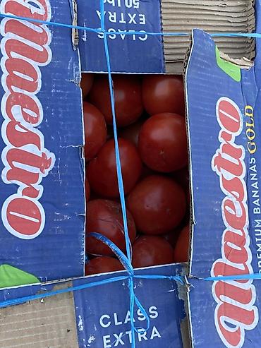 продать помидоры оптом: Помидоры Красные, Оптом — 2